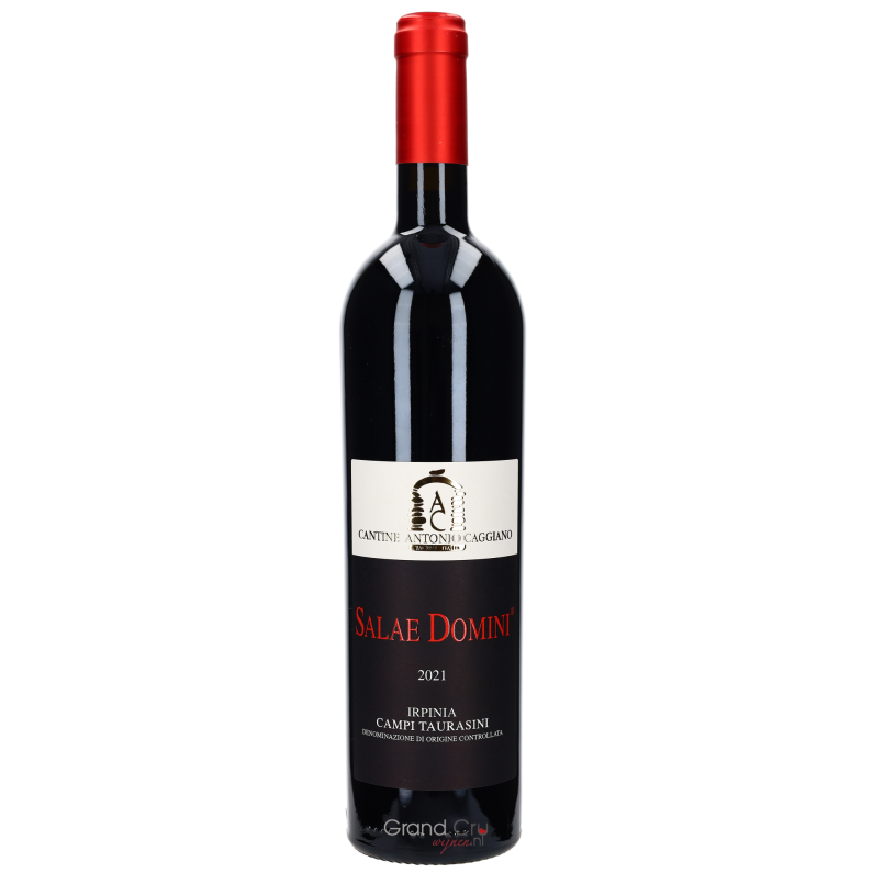 2021 Antonio Caggiano Salae Domini Irpinia Campi Taurasini