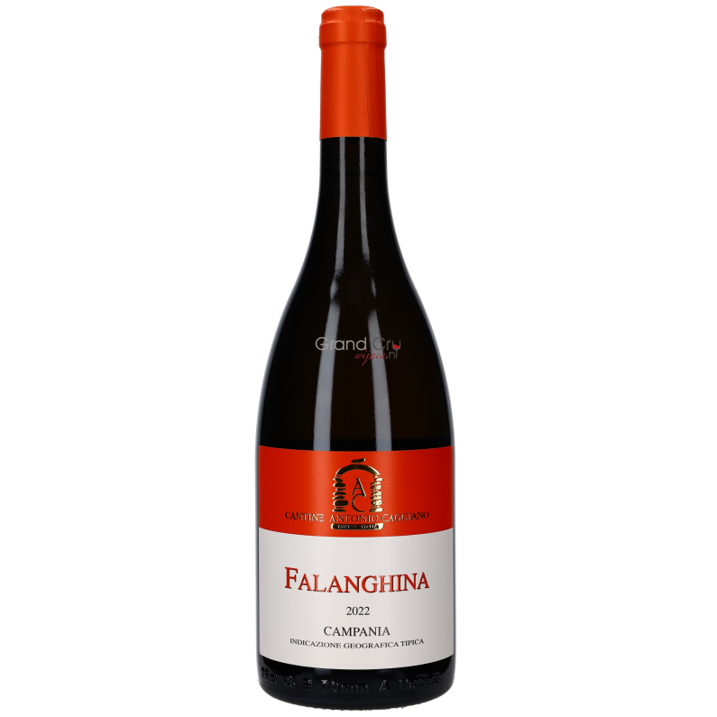 2022 Antonio Caggiano Falanghina Campania