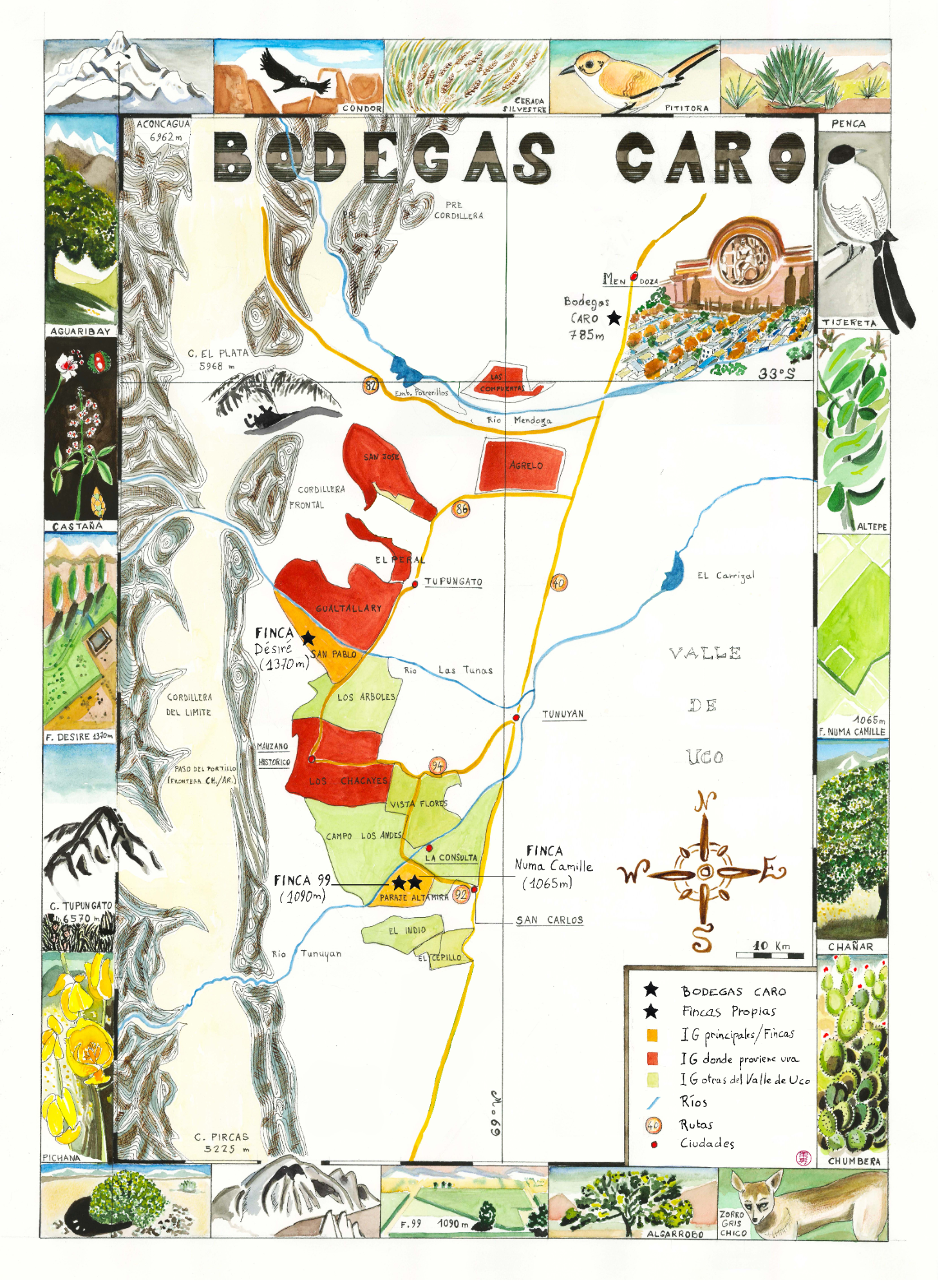 Bodegas CARO - map of vineyards
