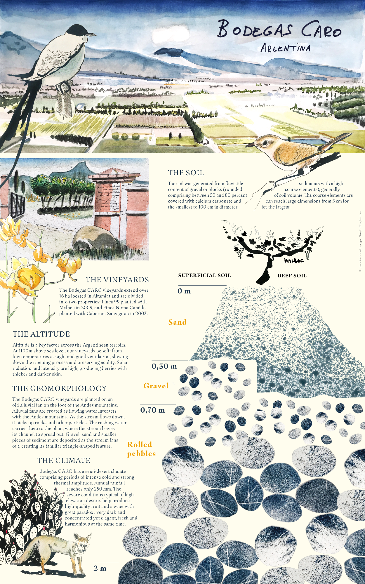 Bodegas CARO terroir